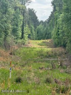 5133 Antioch Road Hazlehurst, MS 39083 - Photo 55 of 78 IMG_1960