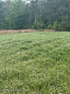 5133 Antioch Road Hazlehurst, MS 39083 - Photo 56 of 78 IMG_1967