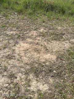 5133 Antioch Road Hazlehurst, MS 39083 - Photo 59 of 78 IMG_1978