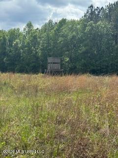 5133 Antioch Road Hazlehurst, MS 39083 - Photo 60 of 78 IMG_1971