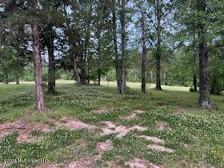 5133 Antioch Road Hazlehurst, MS 39083 - Photo 63 of 78 IMG_2057