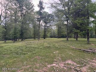 5133 Antioch Road Hazlehurst, MS 39083 - Photo 64 of 78 IMG_2055