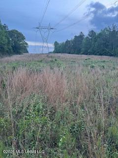 5133 Antioch Road Hazlehurst, MS 39083 - Photo 66 of 78 IMG_2048