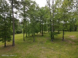 5133 Antioch Road Hazlehurst, MS 39083 - Photo 72 of 78 dji_fly_20260422_104518_62_1776872735889