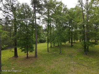 5133 Antioch Road Hazlehurst, MS 39083 - Photo 73 of 78 dji_fly_20260422_104516_61_1776872752475