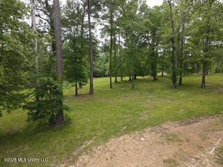 5133 Antioch Road Hazlehurst, MS 39083 - Photo 74 of 78 dji_fly_20260422_104510_60_1776872758813