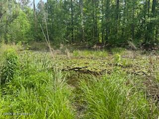 5133 Antioch Road Hazlehurst, MS 39083 - Photo 77 of 78 IMG_1976