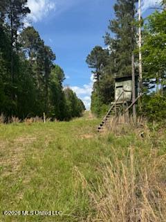 5133 Antioch Road Hazlehurst, MS 39083 - Photo 78 of 78 IMG_1957 (1)