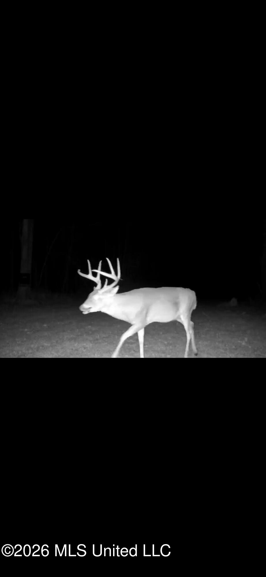 5133 Antioch Road Hazlehurst, MS 39083 - Photo 10 of 78 IMG_2114