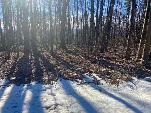 107 Goat Farm Road Pittsford, VT 05763 - Photo 3 of 5