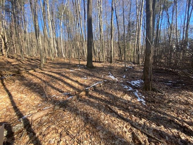 107 Goat Farm Road Pittsford, VT 05763 - Photo 5 of 5