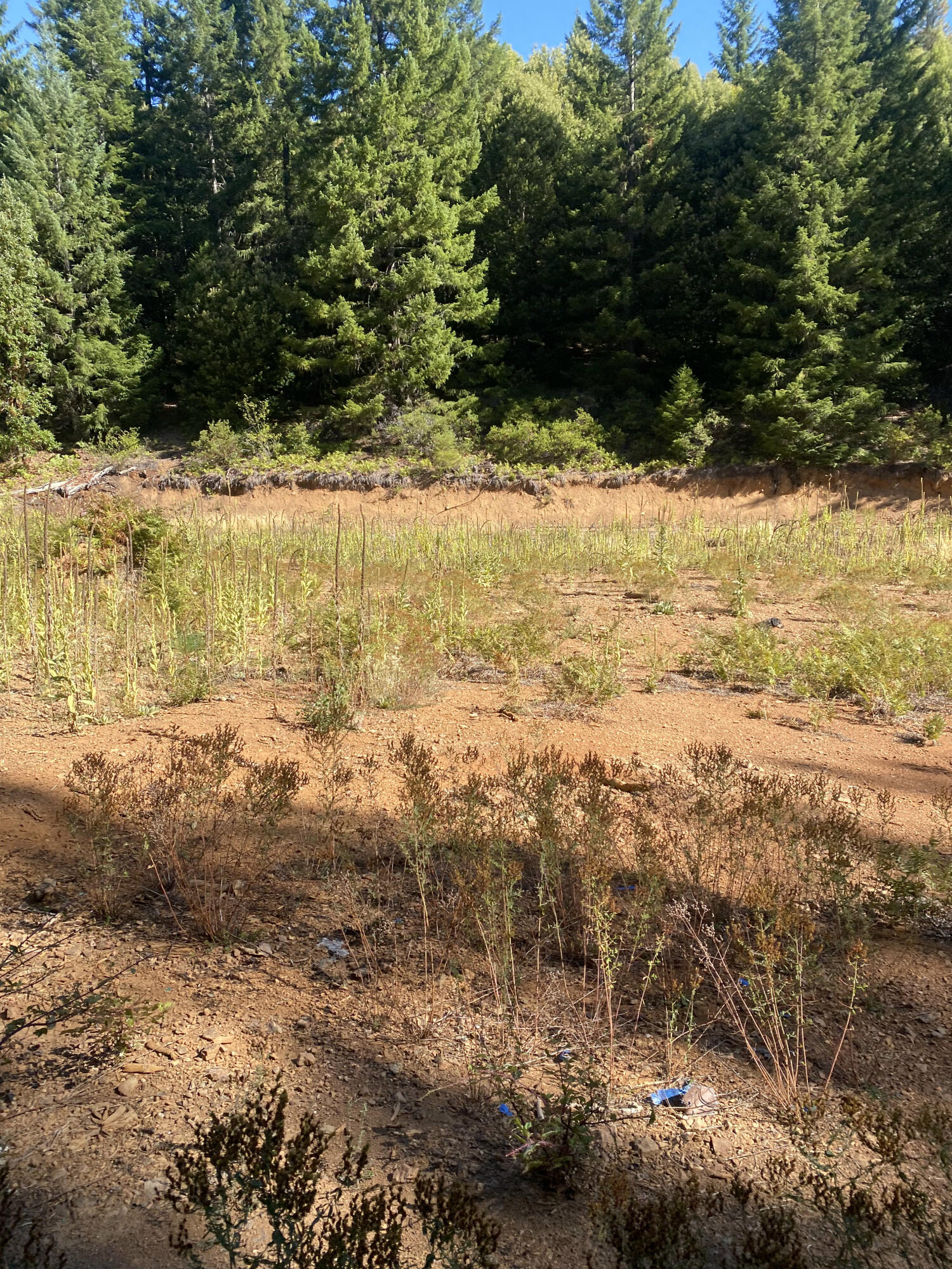 1780 Mcdonald Creek Road Burnt Ranch, CA 95527 - Photo 29 of 58