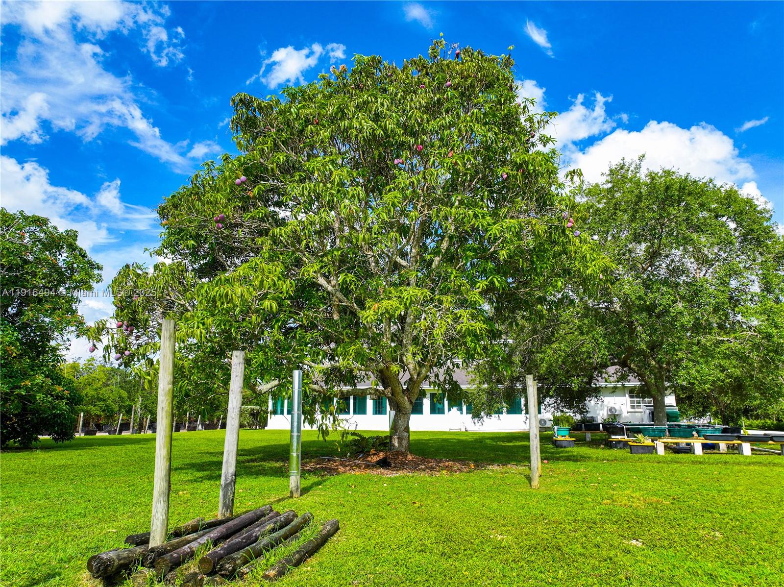 24545 Southwest 192nd Avenue Homestead, FL 33031 - Photo 87 of 91 a backyard of a house with lots of green space