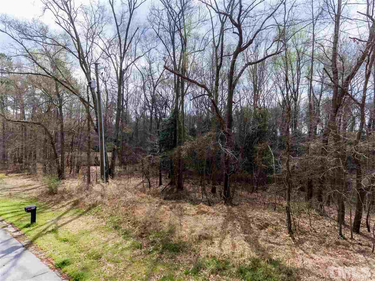 2014 Messer Road Raleigh, NC 27603 - Photo 27 of 27 a view of backyard with outdoor and green space