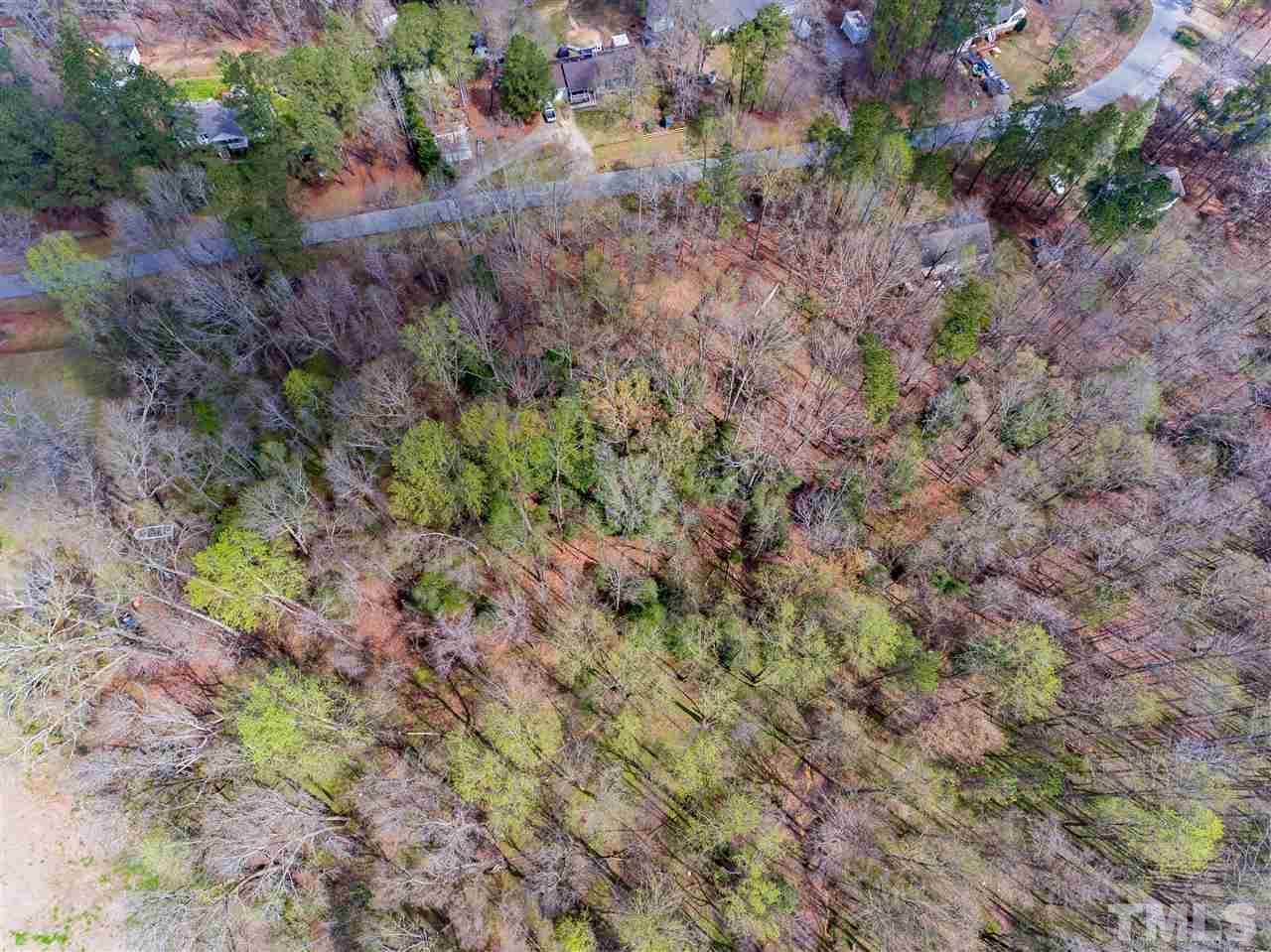 2014 Messer Road Raleigh, NC 27603 - Photo 4 of 27 a view of a yard with a plant