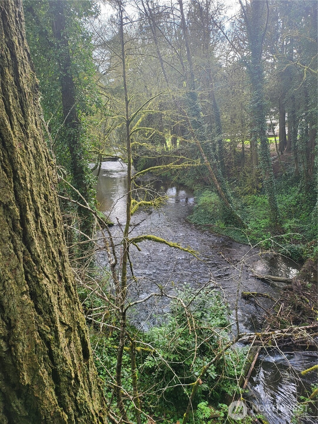 1337 Coal Creek Road Longview, WA 98632 - Photo 34 of 40