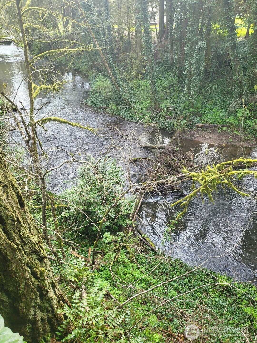 1337 Coal Creek Road Longview, WA 98632 - Photo 36 of 40