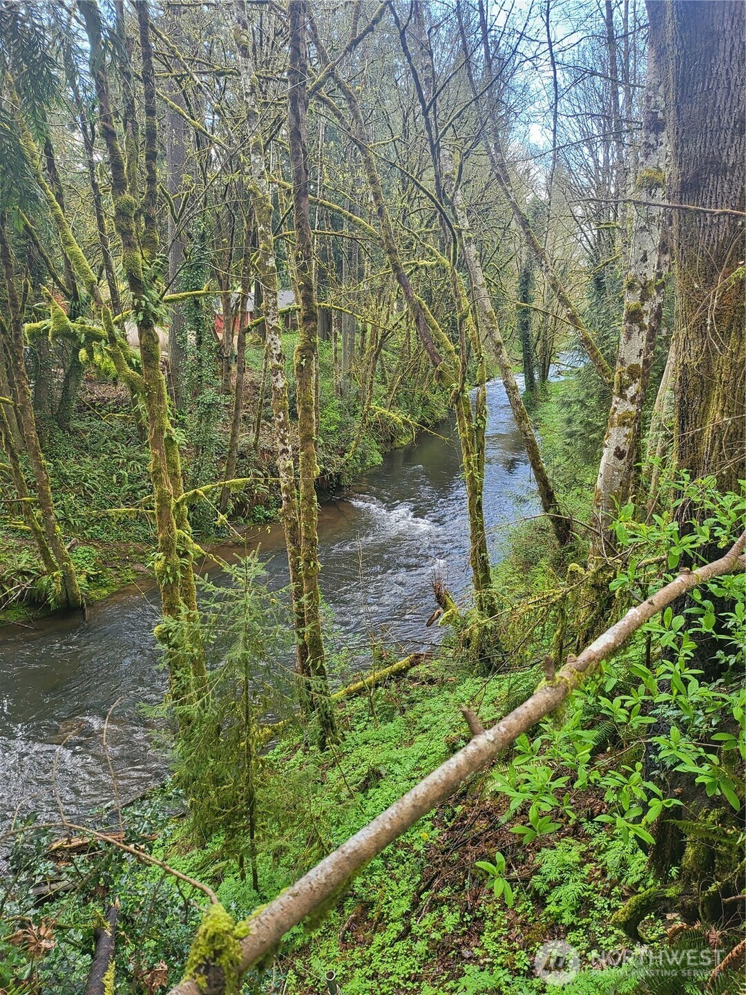 1337 Coal Creek Road Longview, WA 98632 - Photo 37 of 40