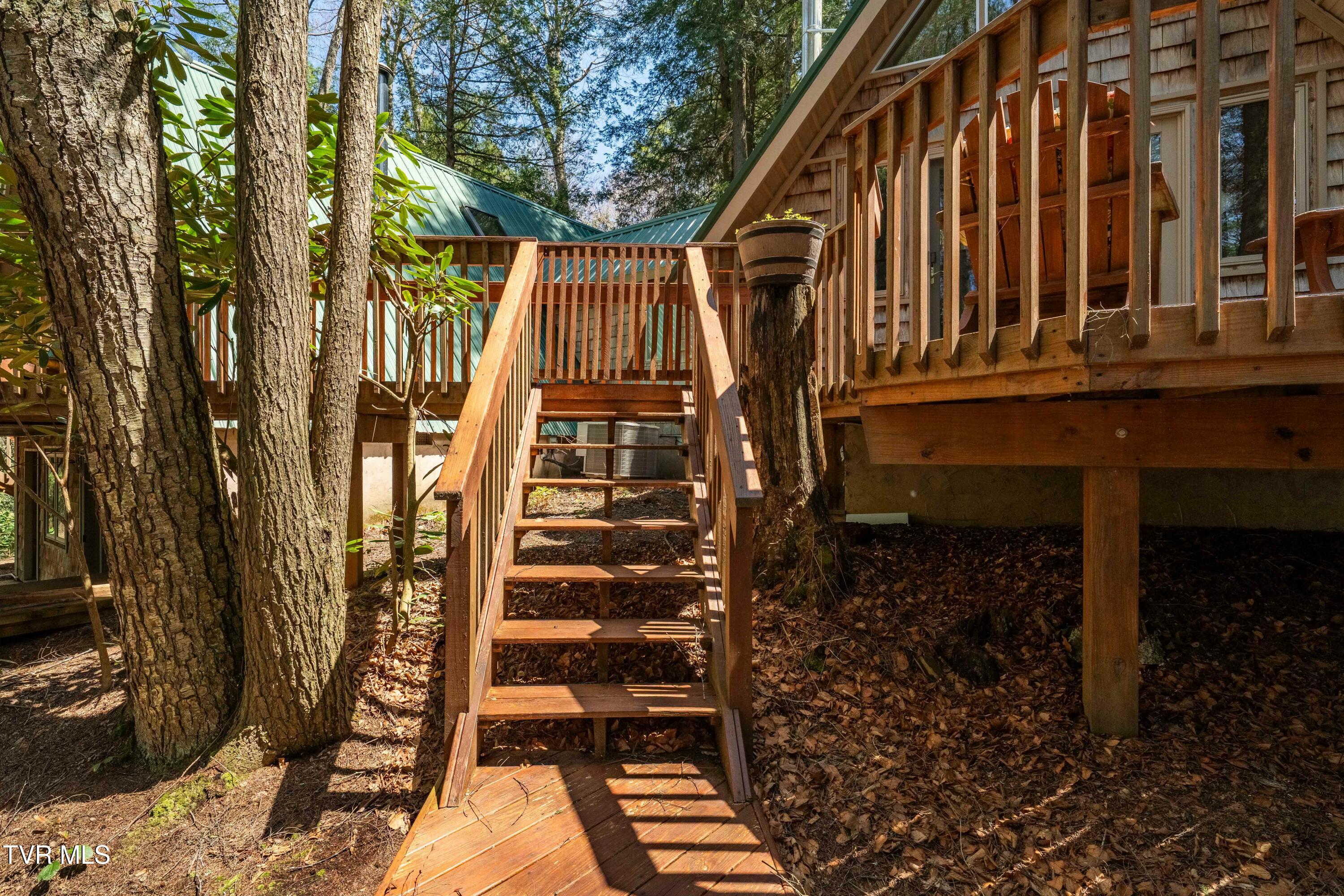 238 Ripshin Lake Road Roan Mountain, TN 37687 - Photo 40 of 66 tempImageBVLcbL
