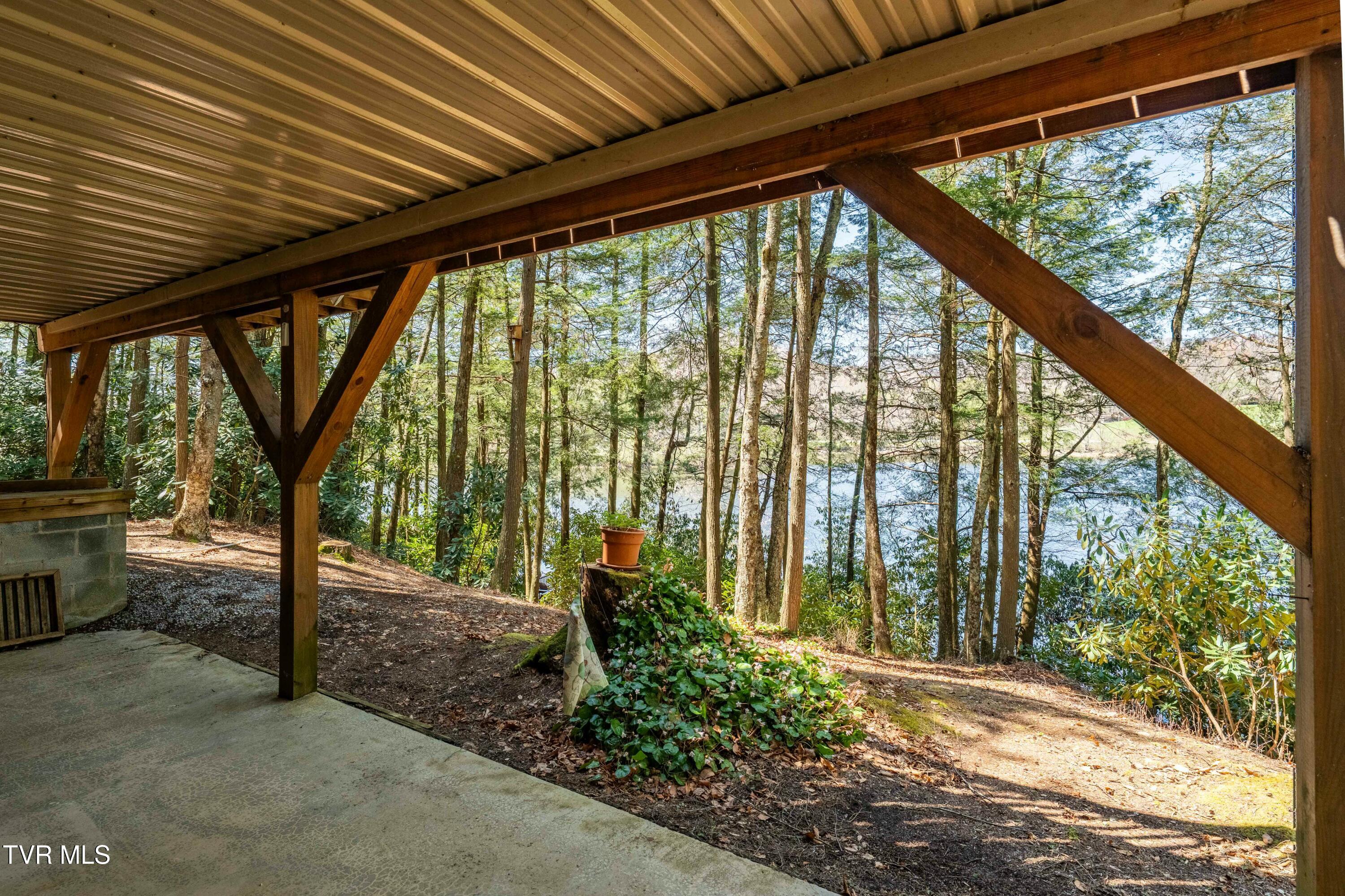 238 Ripshin Lake Road Roan Mountain, TN 37687 - Photo 50 of 66 tempImageL0meHI