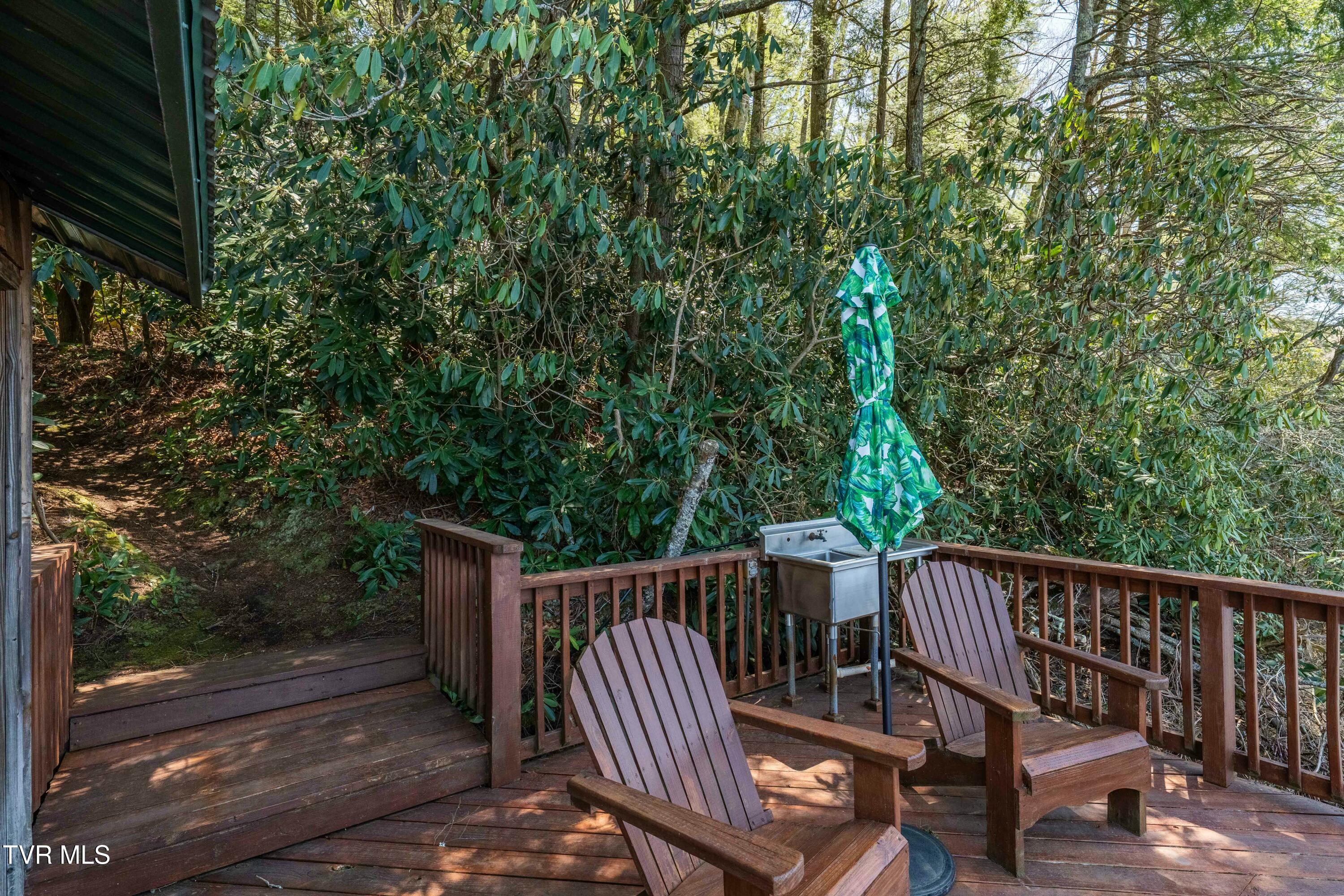 238 Ripshin Lake Road Roan Mountain, TN 37687 - Photo 53 of 66 tempImage5bgISs