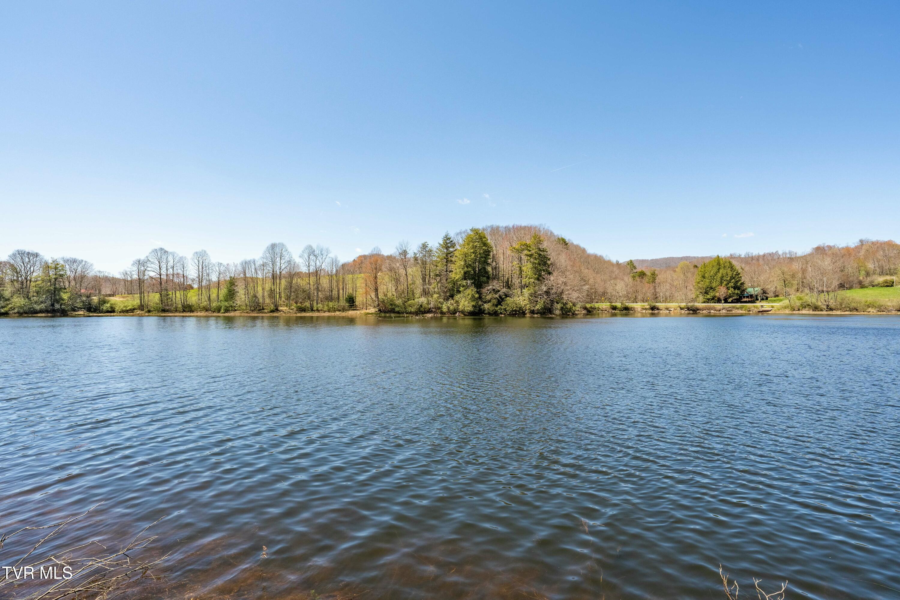 238 Ripshin Lake Road Roan Mountain, TN 37687 - Photo 54 of 66 tempImageKqYiLu