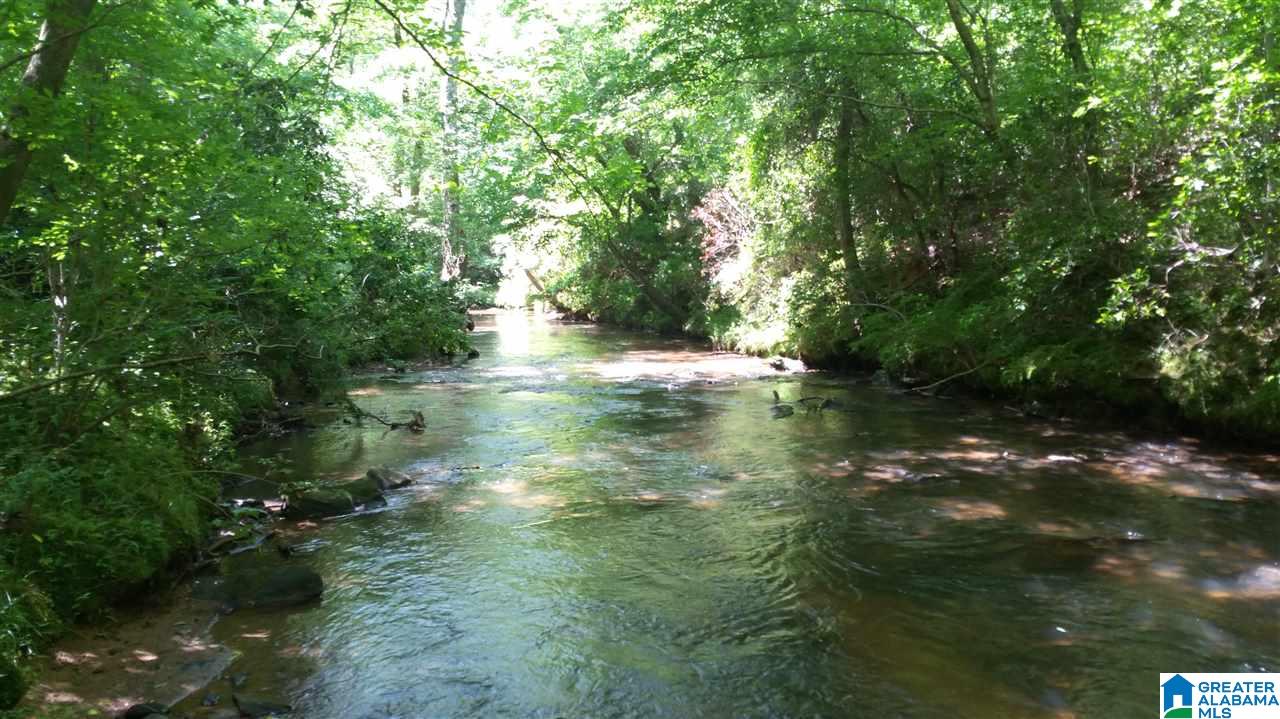 East Mill Road Lineville, AL 36266 - Photo 6 of 13