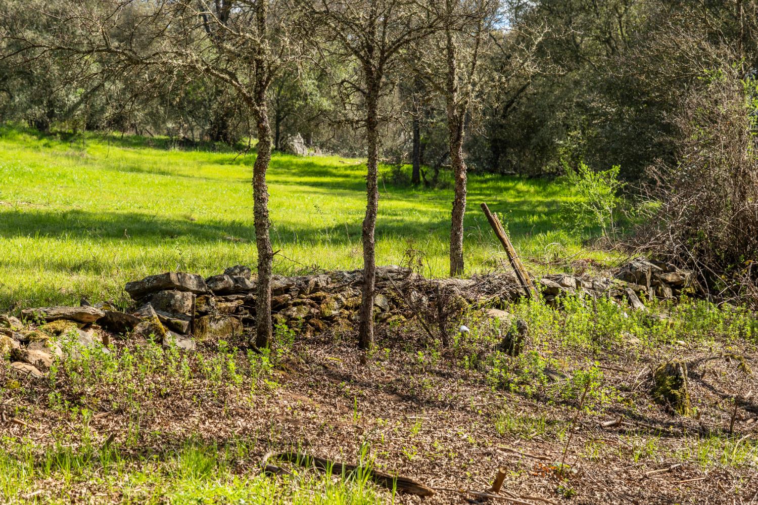 10925 Joeger Road Auburn, CA 95602 - Photo 16 of 24 a view of a lake with a big yard