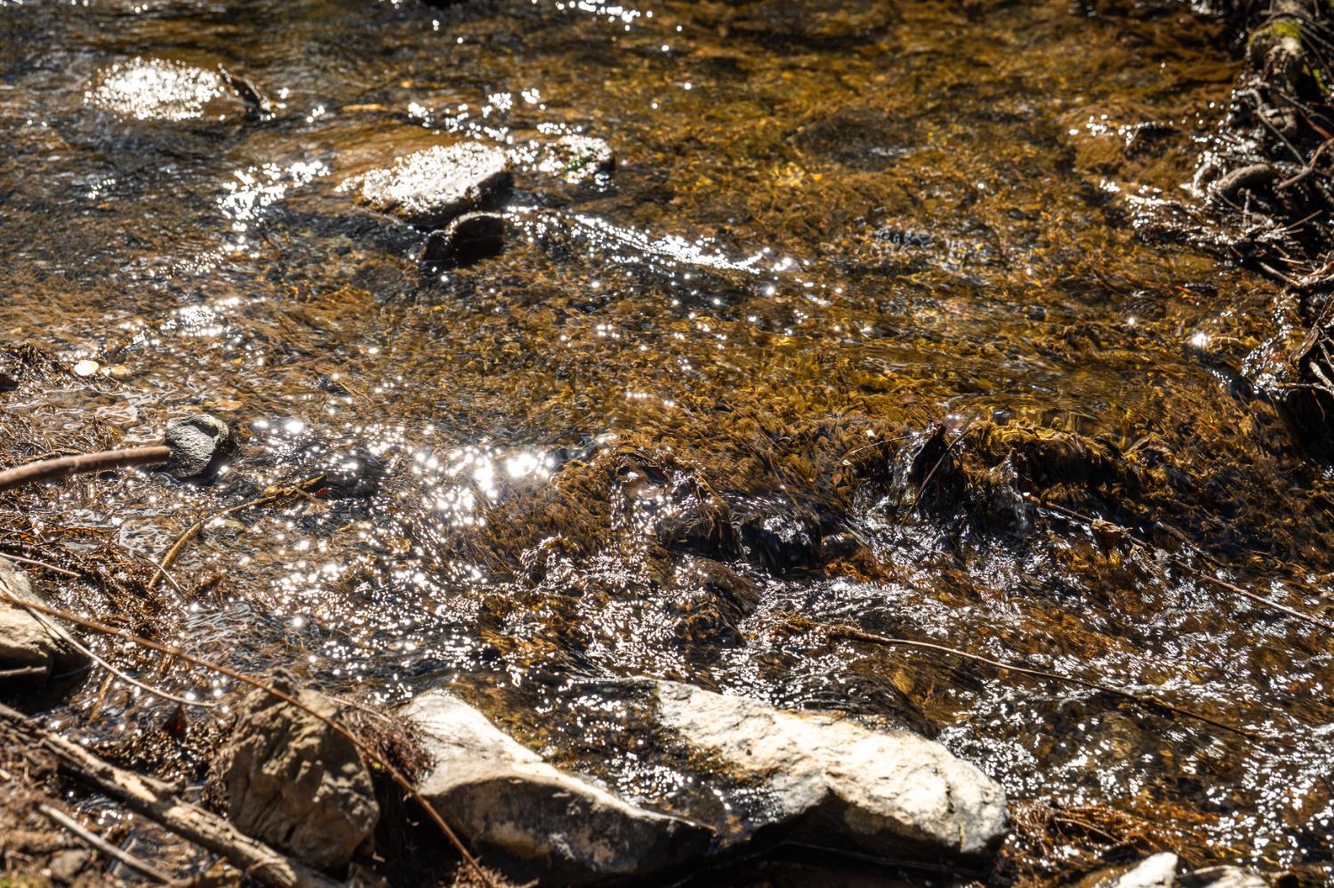 10925 Joeger Road Auburn, CA 95602 - Photo 17 of 24 a view of outdoor space