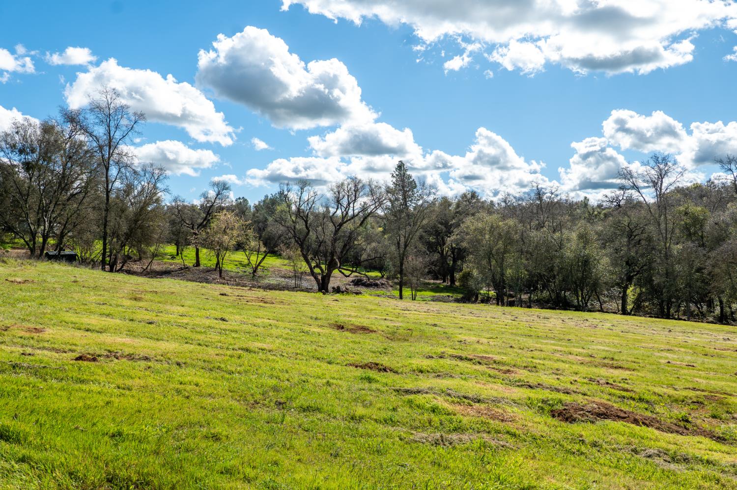 10925 Joeger Road Auburn, CA 95602 - Photo 21 of 24 a view of a playground with basketball court