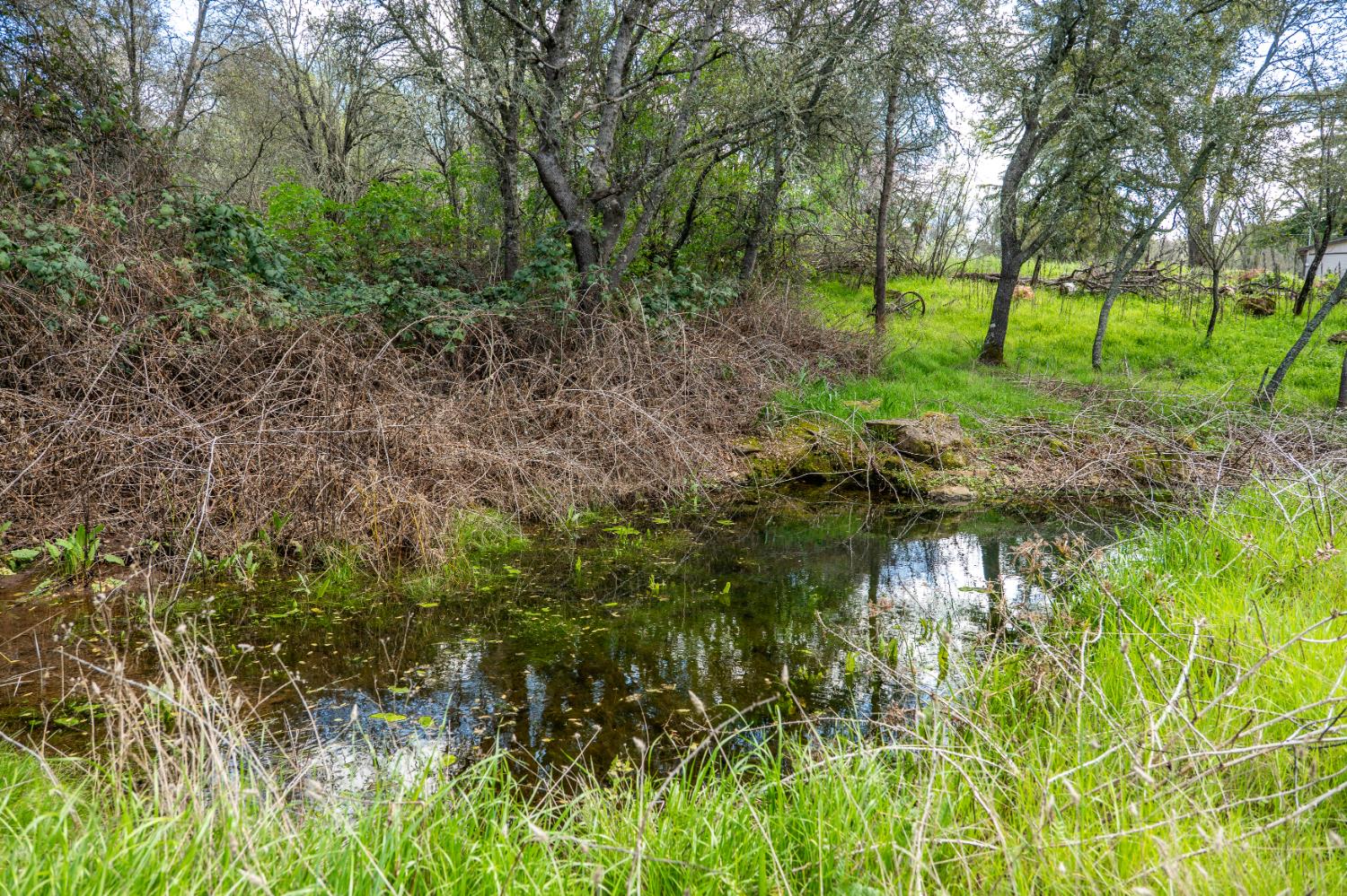 10925 Joeger Road Auburn, CA 95602 - Photo 24 of 24 a view of a garden with trees