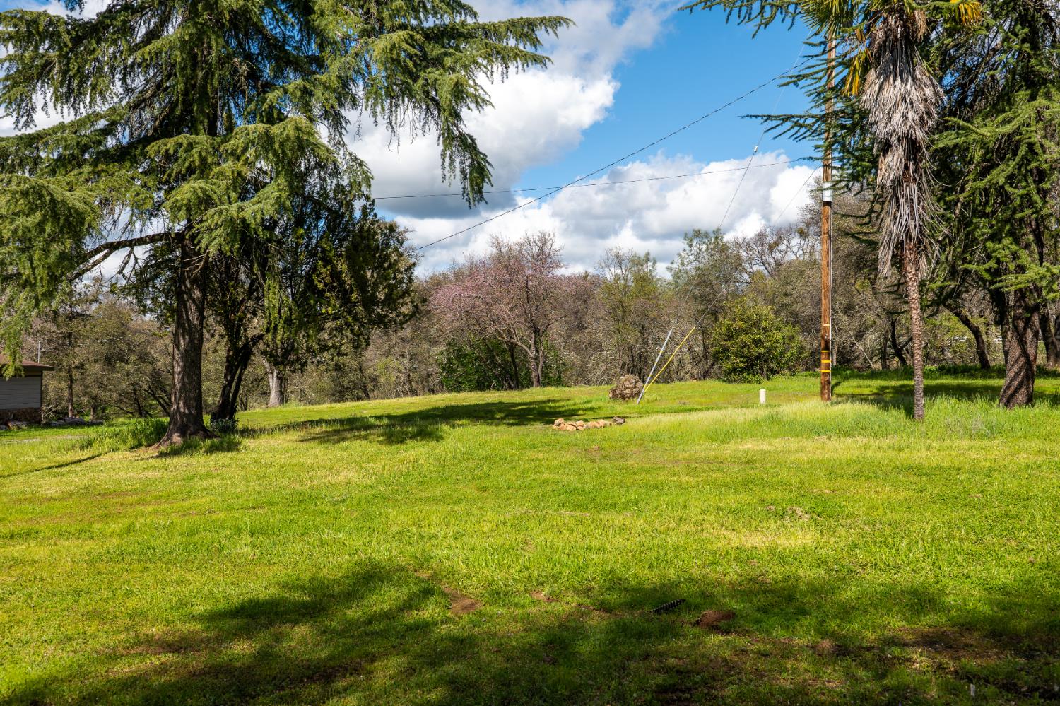 10925 Joeger Road Auburn, CA 95602 - Photo 4 of 24 a view of yard with swimming pool and trees