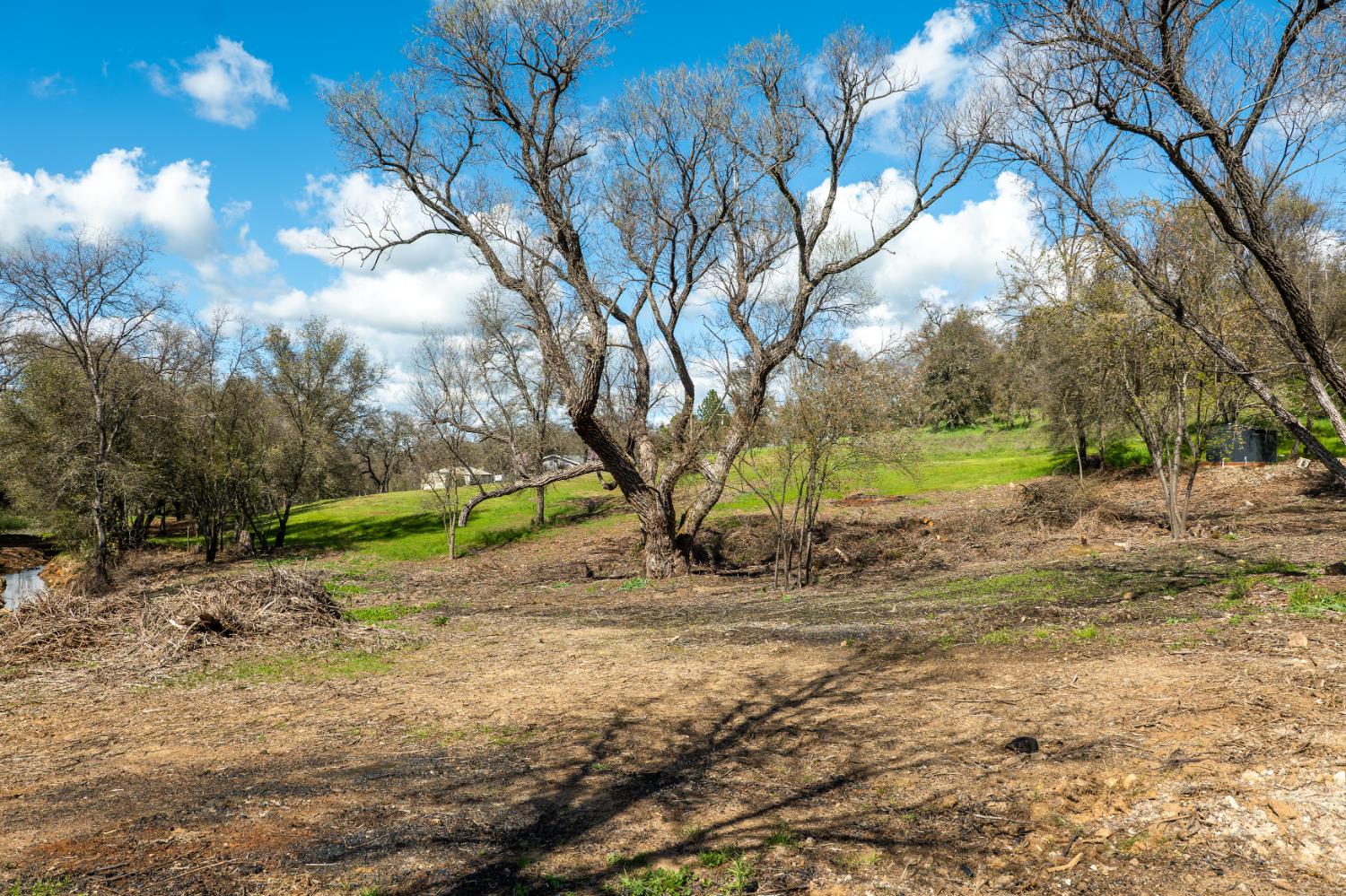 10925 Joeger Road Auburn, CA 95602 - Photo 9 of 24 a view of a yard with a tree