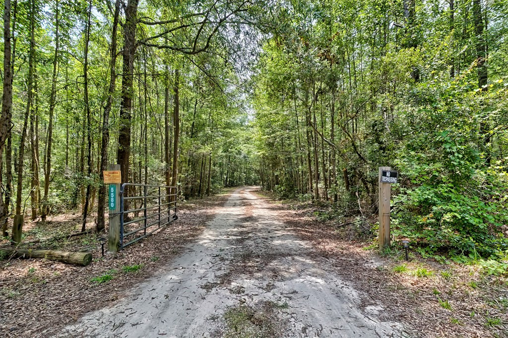 5580 Cimmaron Road Rembert, SC 29128 - Photo 5 of 49