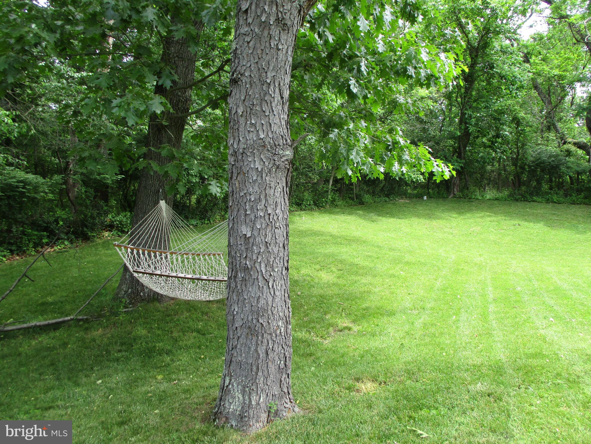 1007 Jordan Springs Road Stephenson, VA 22656 - Photo 21 of 41 More Room to Relax