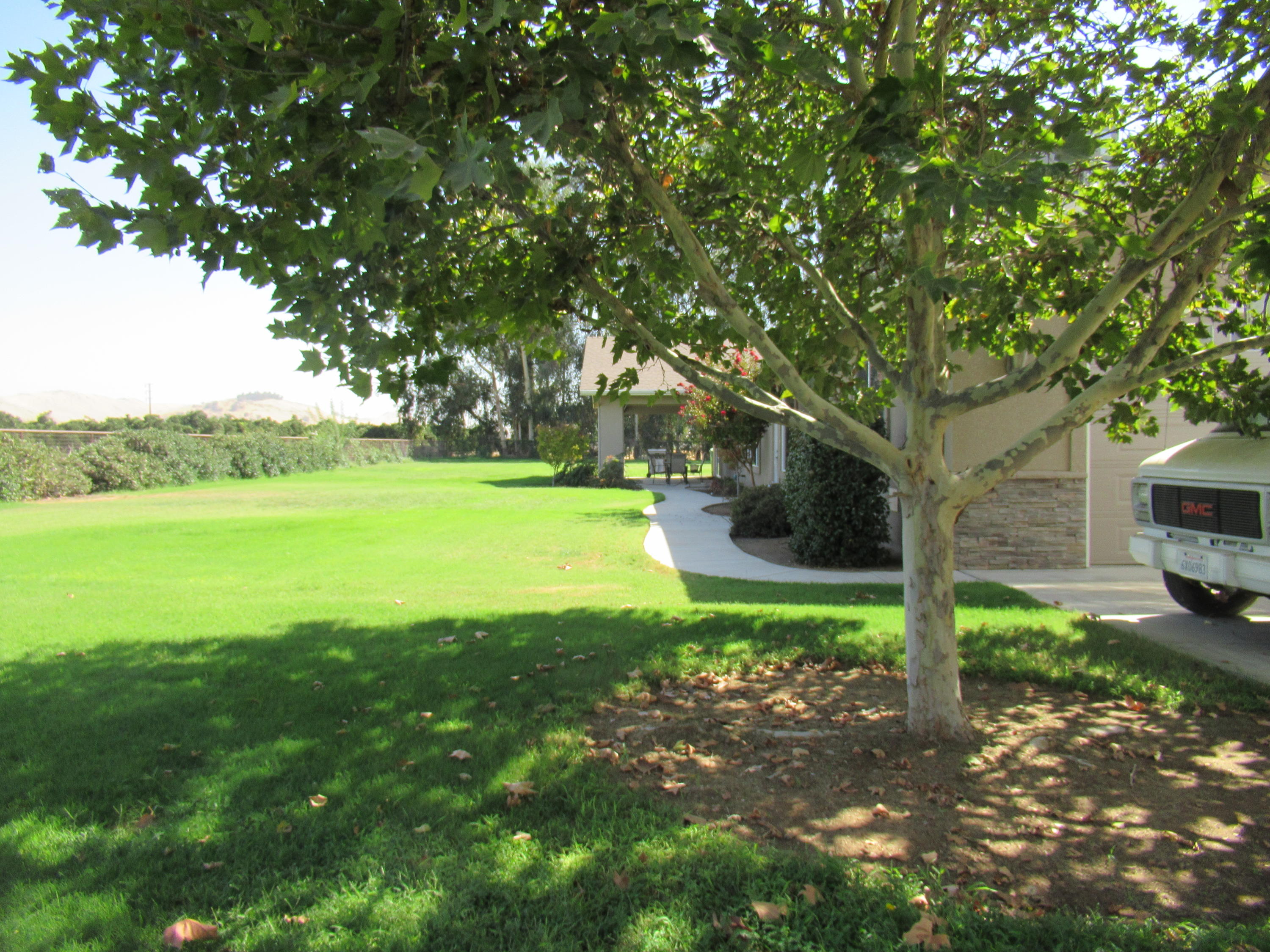 22223 Carson Avenue Exeter, CA 93221 - Photo 50 of 61 IMG_0126