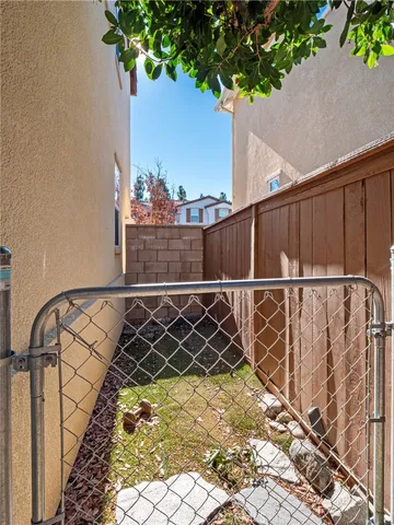 a view of backyard and tree