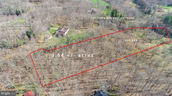 a view of swimming pool with outdoor seating and plants