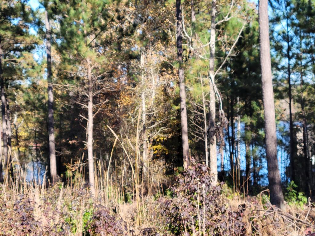 600 Parham Road Northwest Milledgeville, GA 31061 - Photo 5 of 5 Lot