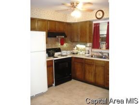 3204 South Spring Street Springfield, IL 62703 - Photo 3 of 8