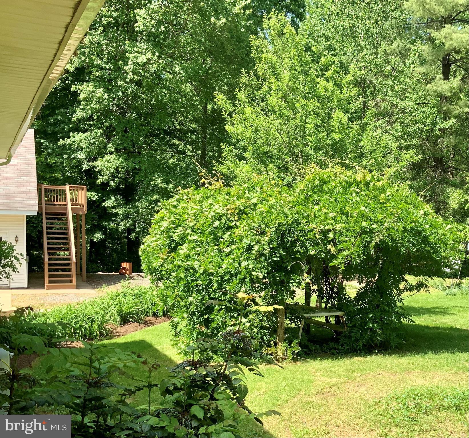 6625 Wilson Road Marshall, VA 20115 - Photo 5 of 17