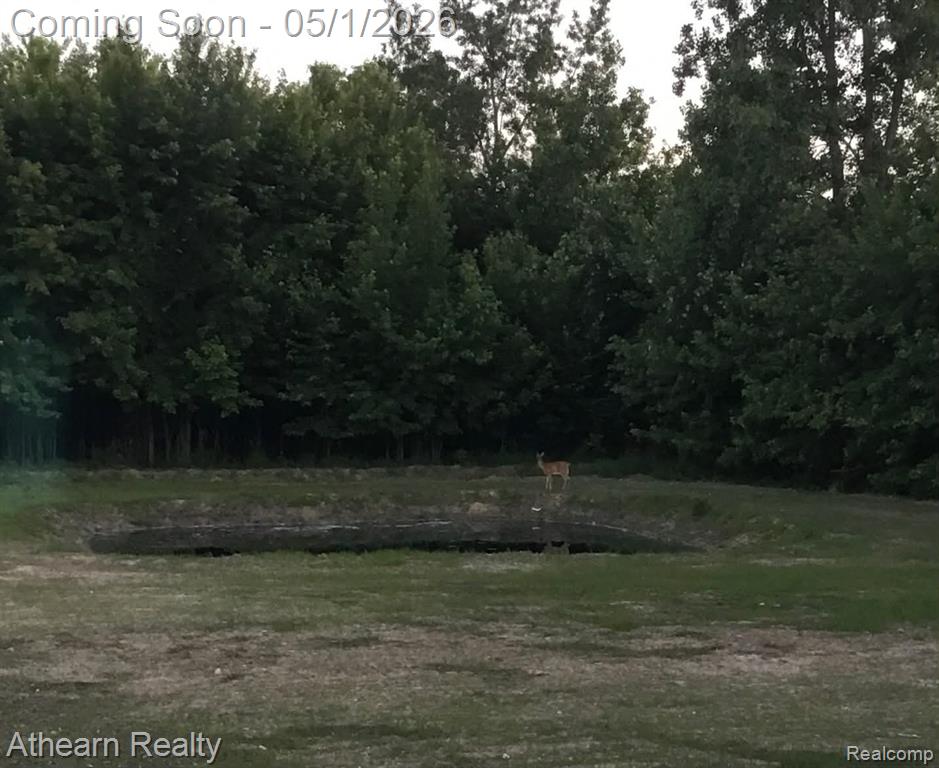 7395 Baldwin Road Swartz Creek, MI 48473 - Photo 6 of 18