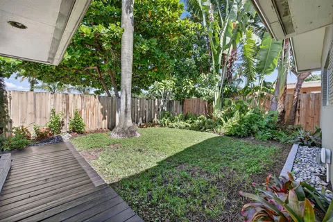 a view of a backyard with plants
