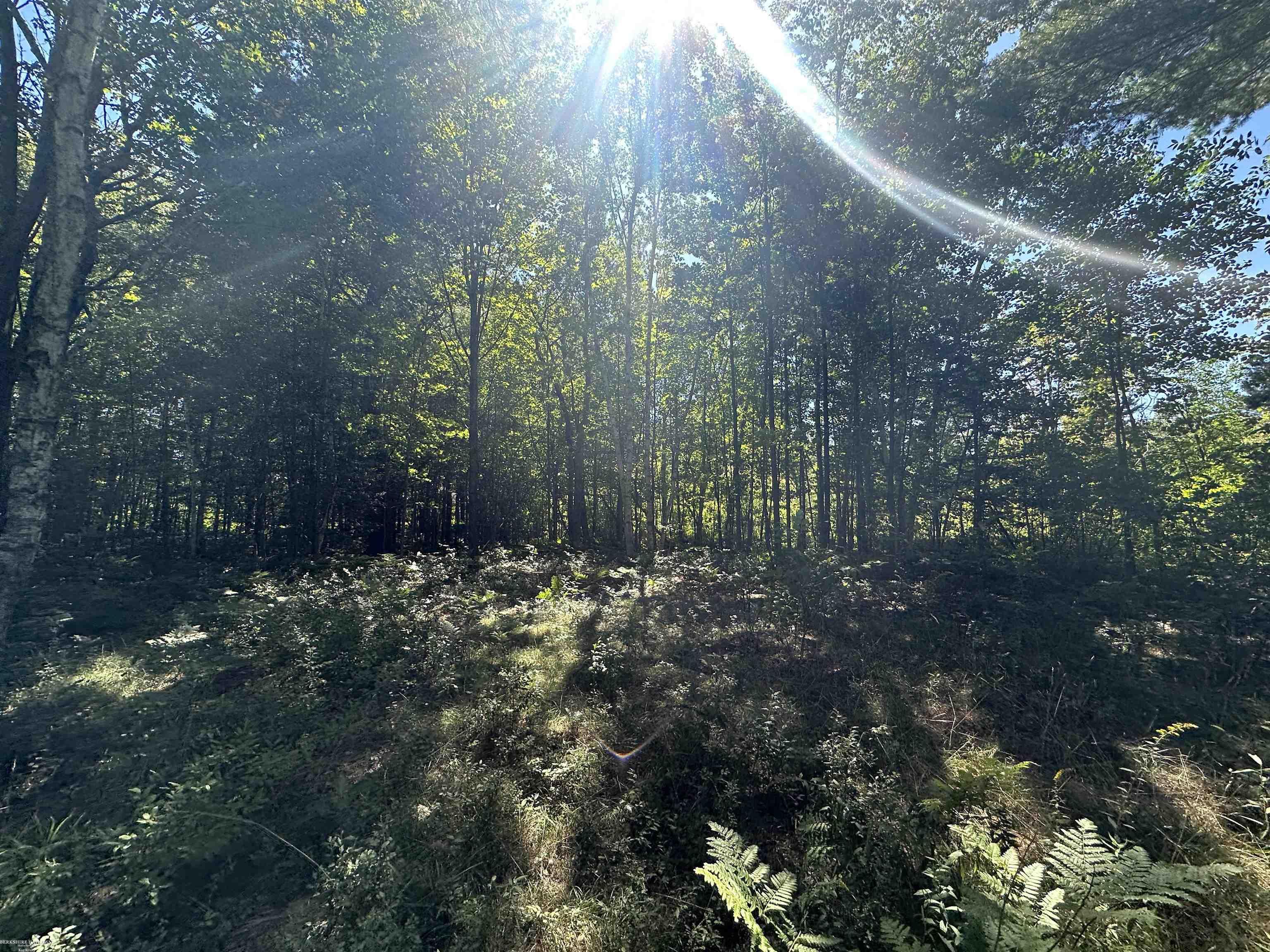 0 Long Lake Road Hale, MI 48739 - Photo 2 of 20