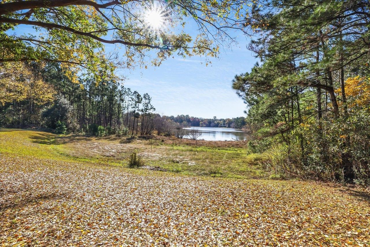 1119 Bannerman Road Tallahassee, FL 32312 - Photo 52 of 60