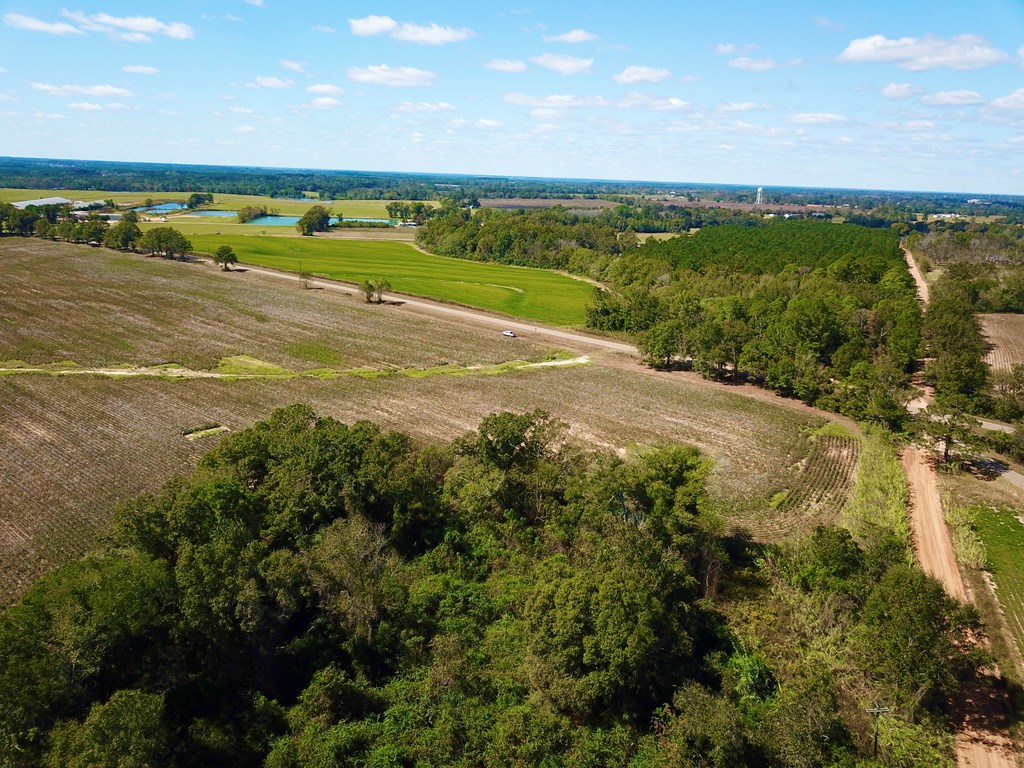 92 County Road 92 Slocomb, AL 36375 - Photo 22 of 32