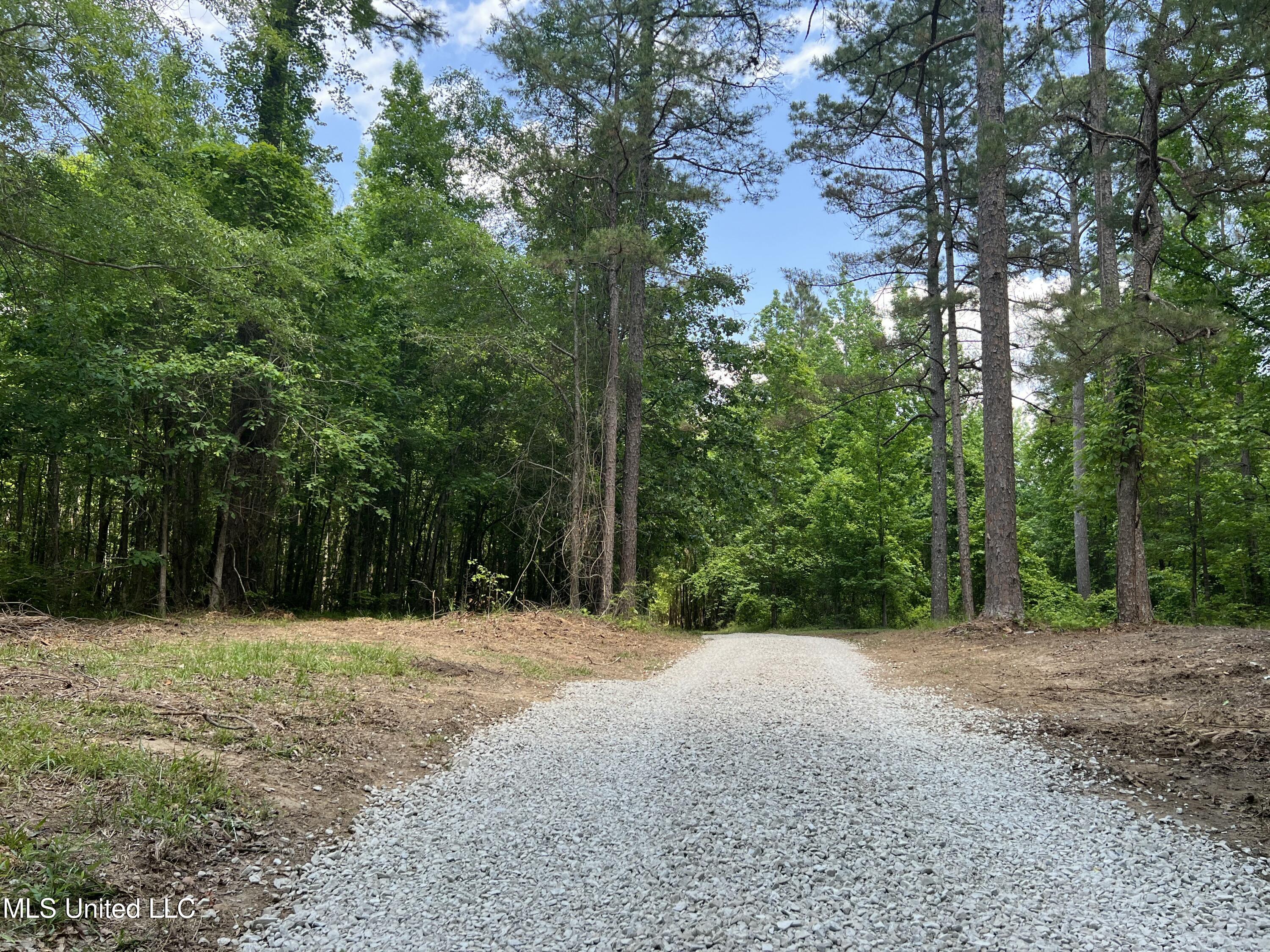 65 County Road Winona, MS 38967 - Photo 14 of 63 IMG_7721