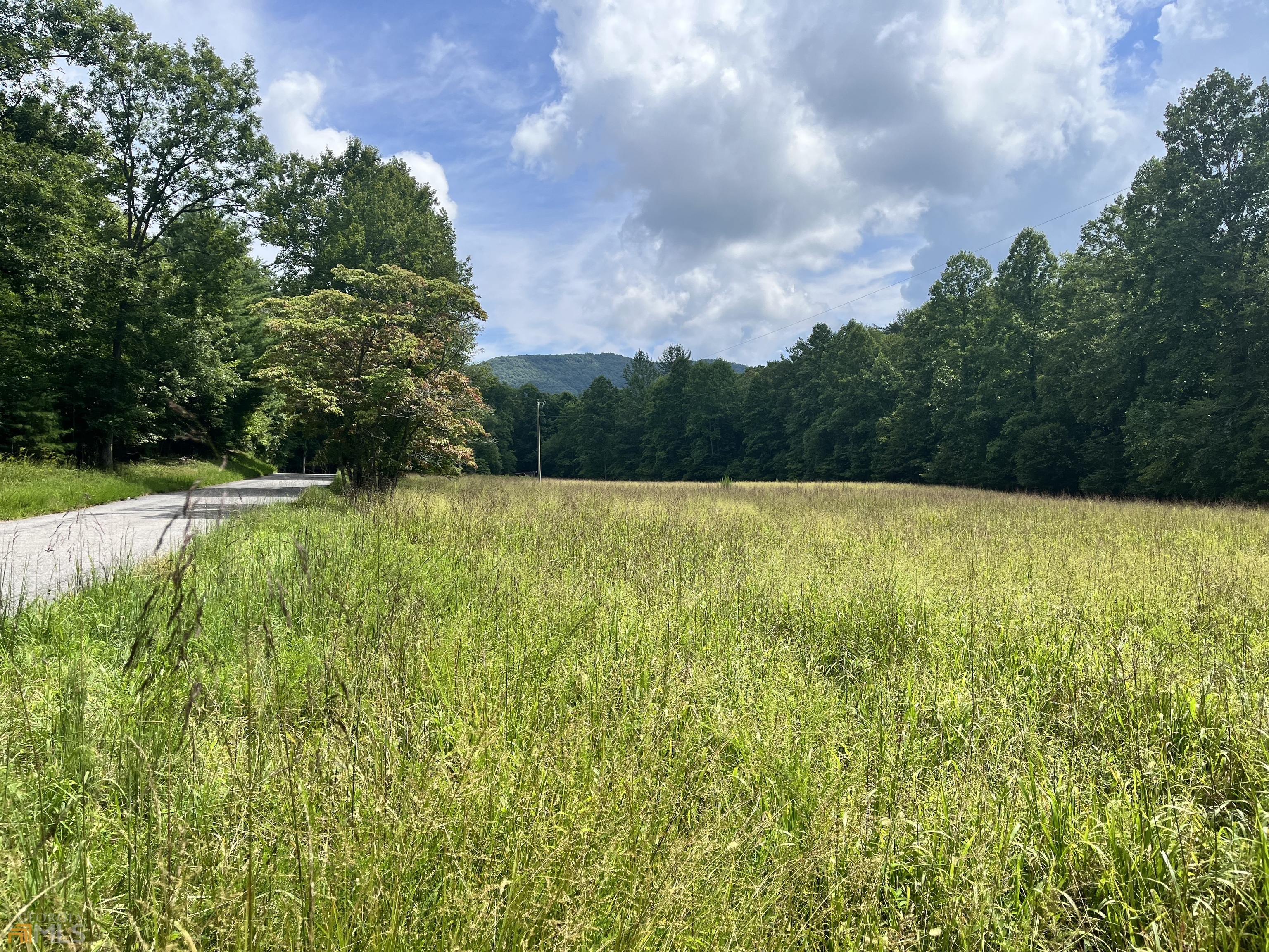 a view of lawn tennis court