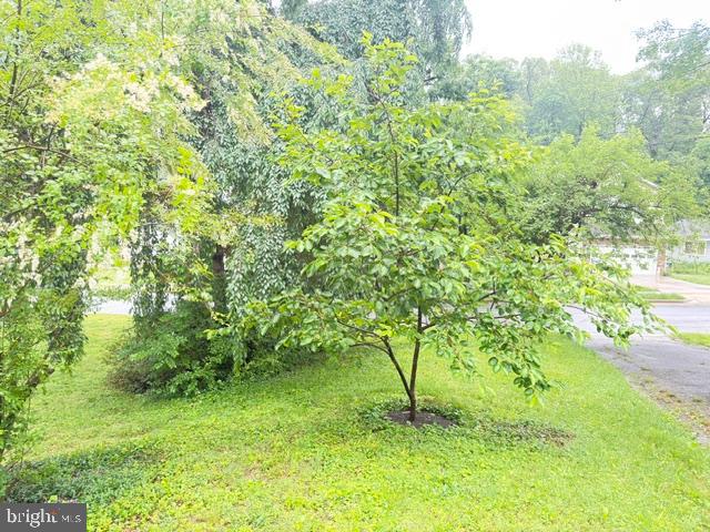 7135 Oak Ridge Road Falls Church, VA 22042 - Photo 41 of 41 a view of a yard