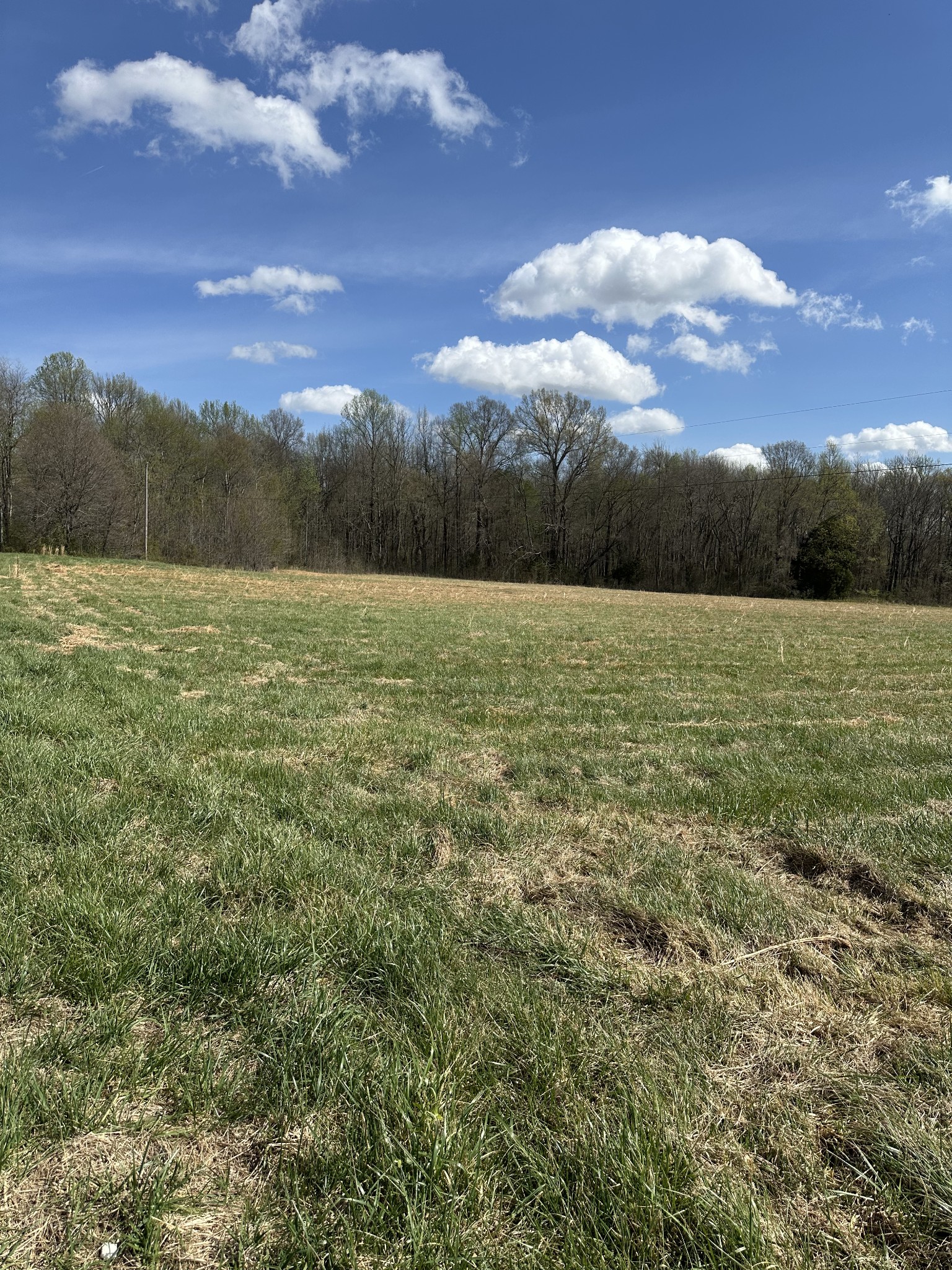 0 Whittaker Road Cookeville, TN 38506 - Photo 12 of 26